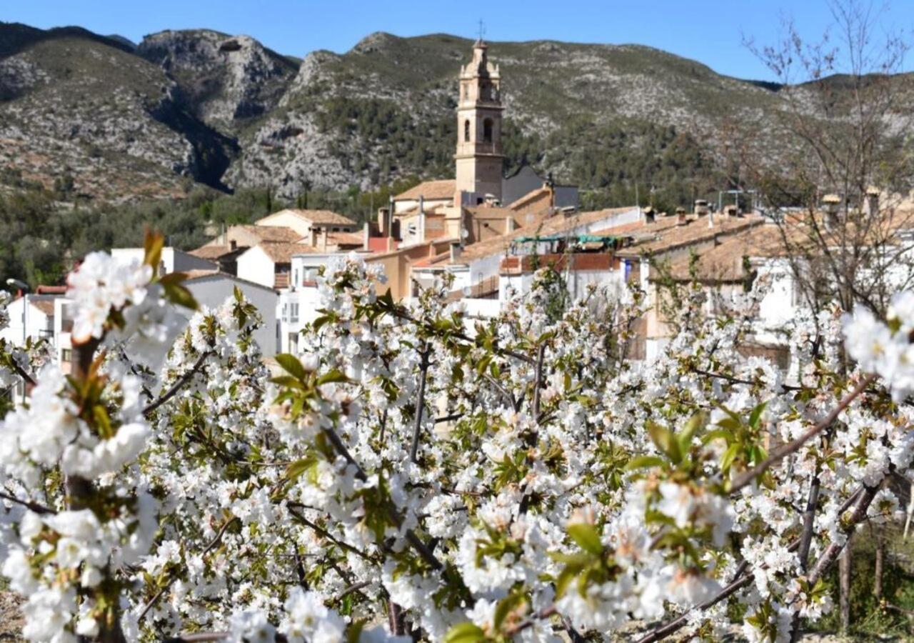 Hotel El Capricho Beniali (Adults Only) 알리칸테 외부 사진